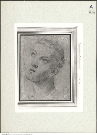 Vorderseite von bh437317_recto