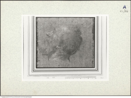 Vorderseite von bh437332_recto