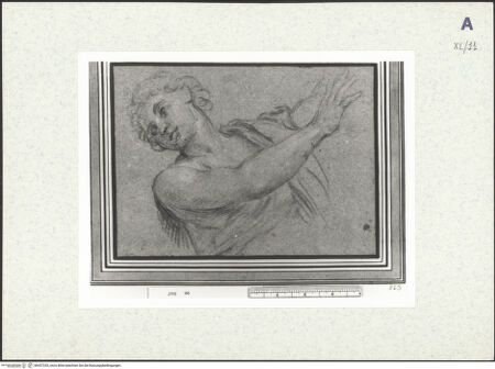 Vorderseite von bh437335_recto