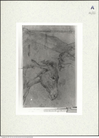 Vorderseite von bh437340_recto