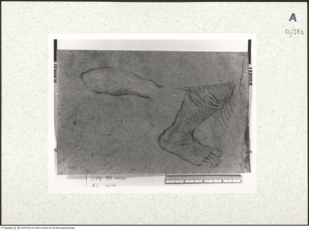 Vorderseite von bh437343_recto