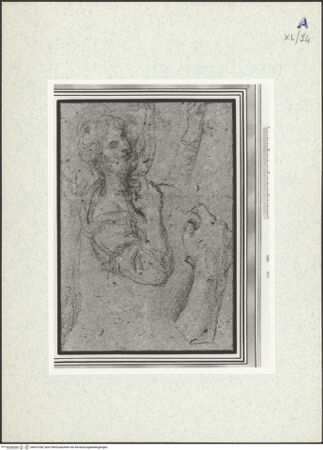 Vorderseite von bh437358_recto