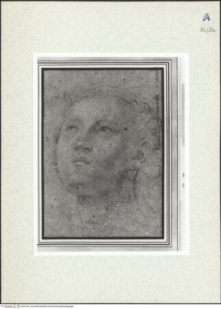 Vorderseite von bh437361_recto