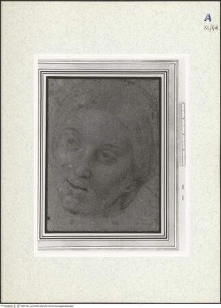 Vorderseite von bh437362_recto