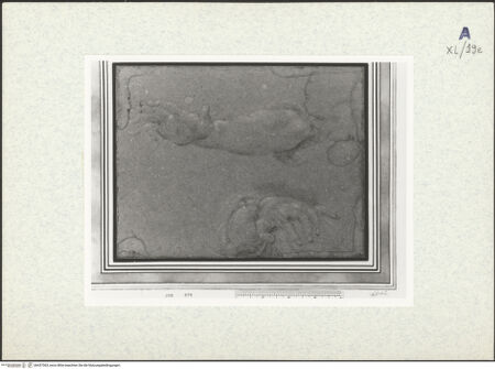 Vorderseite von bh437363_recto