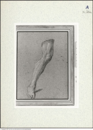 Vorderseite von bh437364_recto