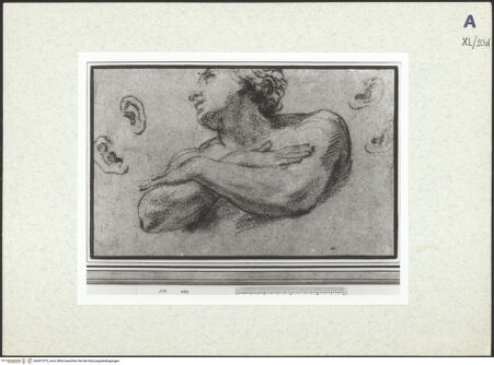 Vorderseite von bh437375_recto