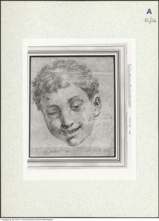 Vorderseite von bh437377_recto