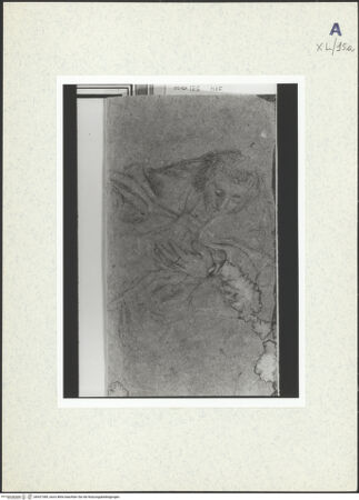 Vorderseite von bh437389_recto