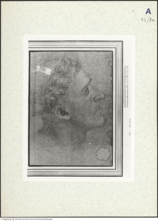 Vorderseite von bh437398_recto