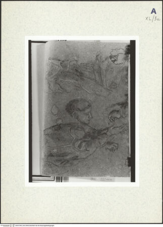 Vorderseite von bh437399_recto