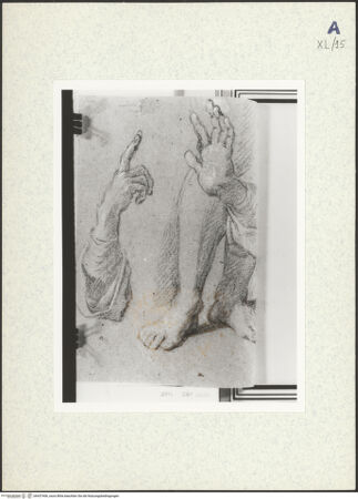 Vorderseite von bh437406_recto