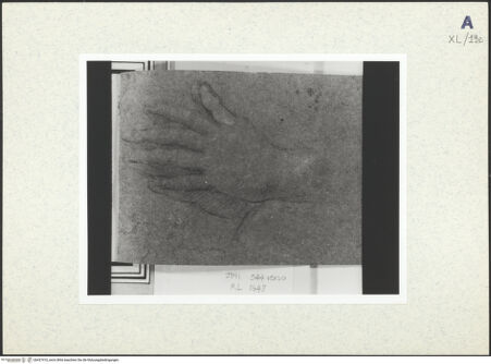 Vorderseite von bh437410_recto