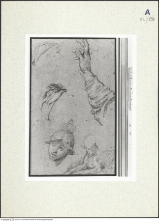 Vorderseite von bh437414_recto