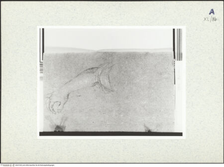 Vorderseite von bh437420_recto