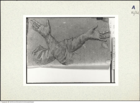 Vorderseite von bh437426_recto