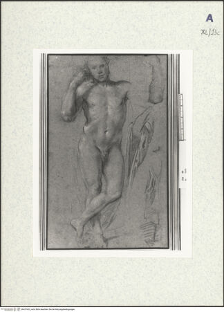 Vorderseite von bh437433_recto