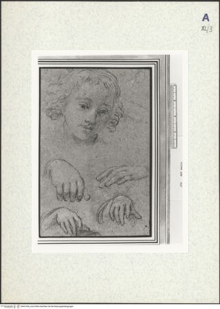 Vorderseite von bh437436_recto