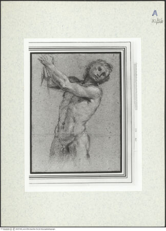 Vorderseite von bh437443_recto