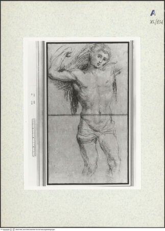 Vorderseite von bh437446_recto