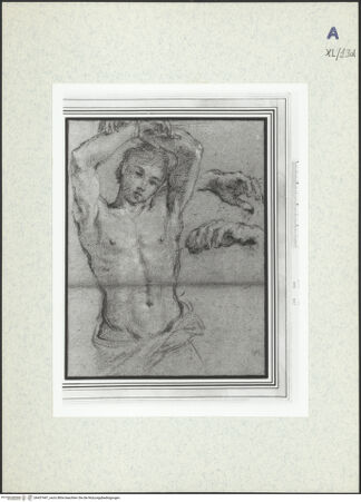 Vorderseite von bh437447_recto