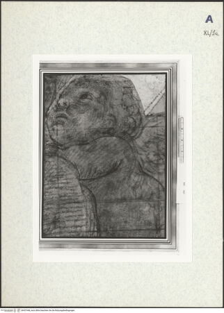 Vorderseite von bh437448_recto