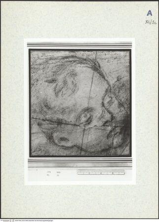 Vorderseite von bh437454_recto