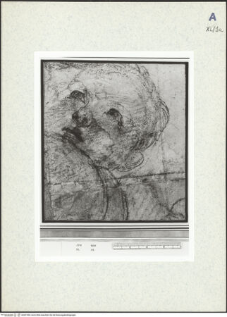 Vorderseite von bh437455_recto