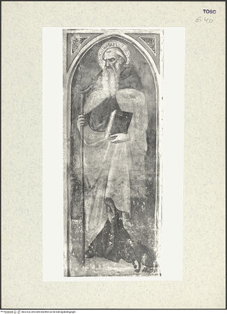 Vorderseite von bh437620_recto