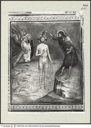 Vorderseite von bh437644_recto