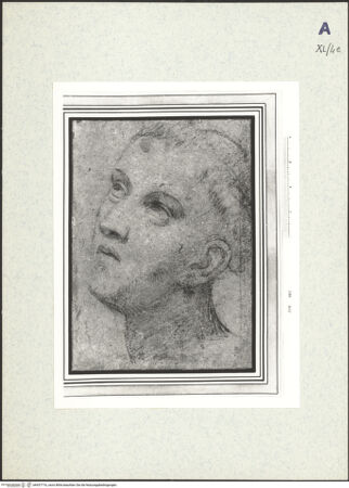 Vorderseite von bh437716_recto