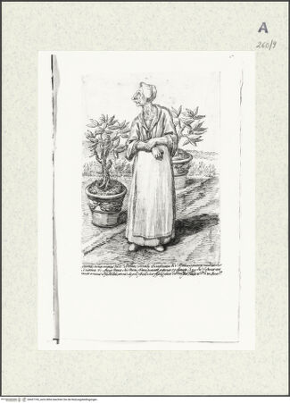 Vorderseite von bh437743_recto