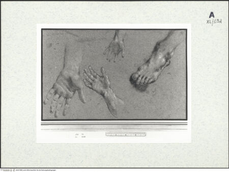 Vorderseite von bh437889_recto