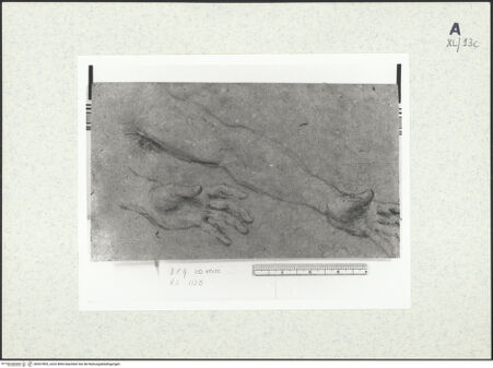 Vorderseite von bh437893_recto