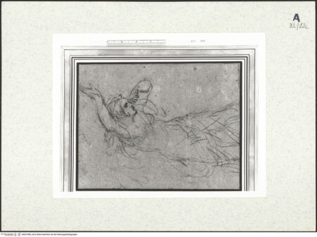 Vorderseite von bh437896_recto