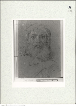 Vorderseite von bh437897_recto