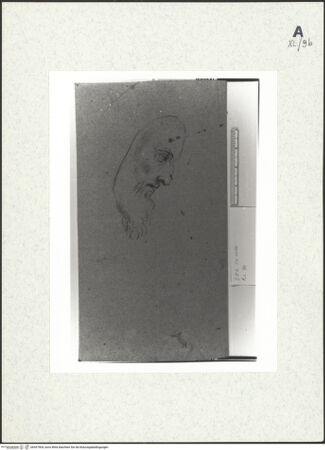 Vorderseite von bh437904_recto