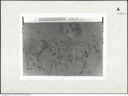 Vorderseite von bh437911_recto