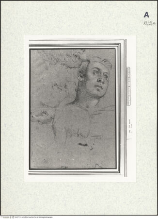 Vorderseite von bh437912_recto