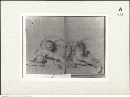 Vorderseite von bh437920_recto