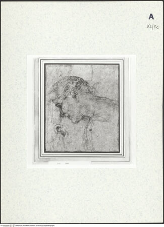 Vorderseite von bh437924_recto