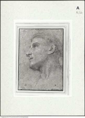 Vorderseite von bh437925_recto