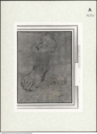 Vorderseite von bh437934_recto