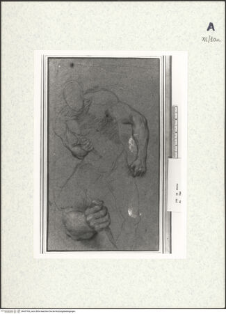 Vorderseite von bh437936_recto