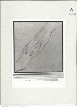 Vorderseite von bh437937_recto