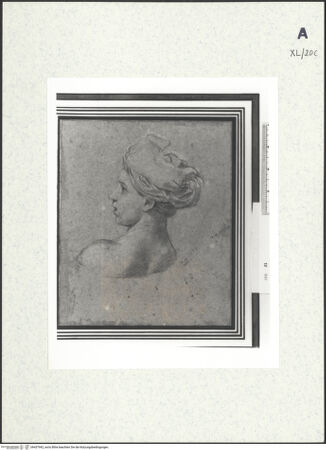 Vorderseite von bh437942_recto