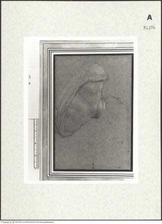 Vorderseite von bh437943_recto