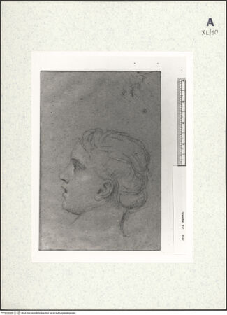 Vorderseite von bh437944_recto