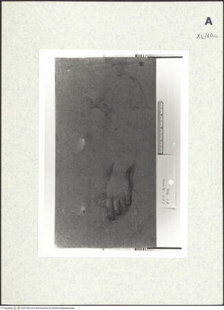 Vorderseite von bh437946_recto