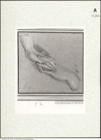 Vorderseite von bh437961_recto